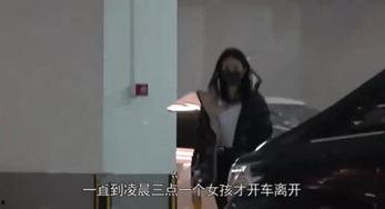 吃瓜最新事件爆料眼镜女,揭秘娱乐圈最新爆料背后的真相